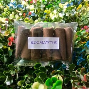 Eucalyptus Incense Cones (25 cones) - 100% Natural Incense Cones - Christmas Incense Cones - Traditional Indian Incense (No Damaged Cones Hand Sorted Packet)