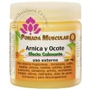 Arnica and Ocote Muscle Ointment Calming Effect 140grs Florigan