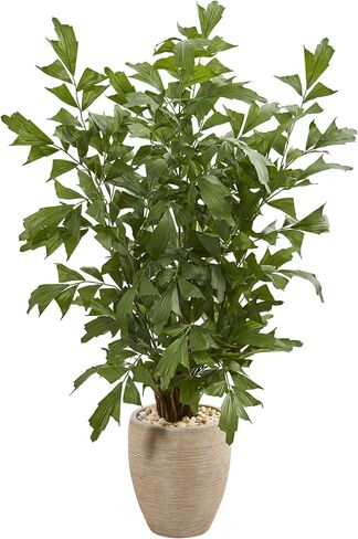 Nearly Natural 5’ Fishtail Palm Tree in Sand Colored Planter Artificial Plant, 27" D x43 W x5 Ft, Green in Saudi Arabia