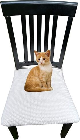 Waterproof Dining Chair Cover Protector - Pack 2 - Perfect for Pets, Kids, Elderly, Restaurants, Party - Machine Washable, Snugly Fit, Removable, Clean The Mess Easily (Beige) in Saudi Arabia