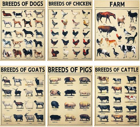 Set of 6 Farm Poster Breeds of Chickens Cattle Dogs Pigs And Goats Poster Retro Painting 12 x 16 Inch Decorative Wrap Poster Wall Art Picture Vintage Decor Poster for Wall Animal Posters Prints in Saudi Arabia