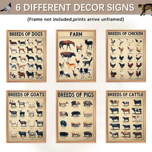 Set of 6 Farm Poster Breeds of Chickens Cattle Dogs Pigs And Goats Poster Retro Painting 12 x 16 Inch Decorative Wrap Poster Wall Art Picture Vintage Decor Poster for Wall Animal Posters Prints in Saudi Arabia