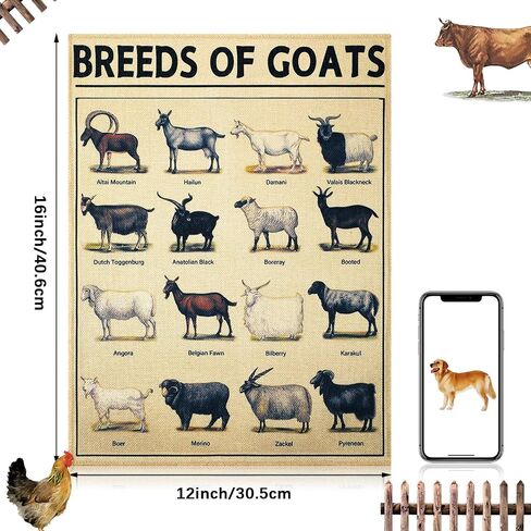 Set of 6 Farm Poster Breeds of Chickens Cattle Dogs Pigs And Goats Poster Retro Painting 12 x 16 Inch Decorative Wrap Poster Wall Art Picture Vintage Decor Poster for Wall Animal Posters Prints in Saudi Arabia