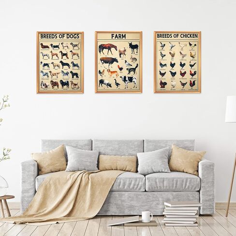 Set of 6 Farm Poster Breeds of Chickens Cattle Dogs Pigs And Goats Poster Retro Painting 12 x 16 Inch Decorative Wrap Poster Wall Art Picture Vintage Decor Poster for Wall Animal Posters Prints in Saudi Arabia