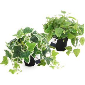 AceList 2 Pack Faux Plants Indoor, Realistic Fake Ivy Fake Plants Potted Plants Artificial Decor, Artificial Plants for Home Decor