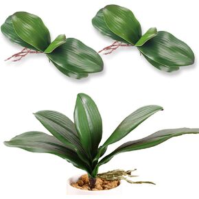 Orchid Leaves Artificial Artificial Orchid Leaves Real Touch Phalaenopsis Stems Faux Cymbidium Flower Foliage Green Artificial Orchid Bulk 2Pack Lifelike Orchid Leaf Decor Faux Orchid 8 Inches