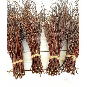 200 pcs. 100% Natural Birch Twigs for centerpieces, for Crafts, Set of 4 Bundles. [ECOWOODDECOR] Birch branches for vase decoration, DIY, Wedding decoration birch twigs