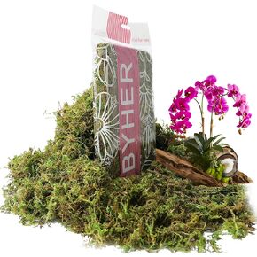 BYHER 4 OZ Fake Moss for Potted Plants, Artificial Green Moss for Crafts Faux Moss for Indoor Planters Fairy Garden Table Centerpieces Wedding Decoration (Fresh Green)