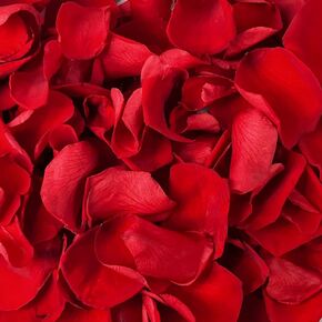 180 PCS Dried Real Red Rose Flower Petals Confetti for Wedding, 1.75oz Preserved Freeze Flower Girl Petals for Romantic Night Wedding Proposal Valentine's Day Centerpeice BabyShower Decor