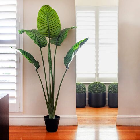 Nearly Natural 60in. Travelers Palm Tree UV Resistant (Indoor/Outdoor) in Saudi Arabia