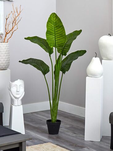 Nearly Natural 60in. Travelers Palm Tree UV Resistant (Indoor/Outdoor) in Saudi Arabia