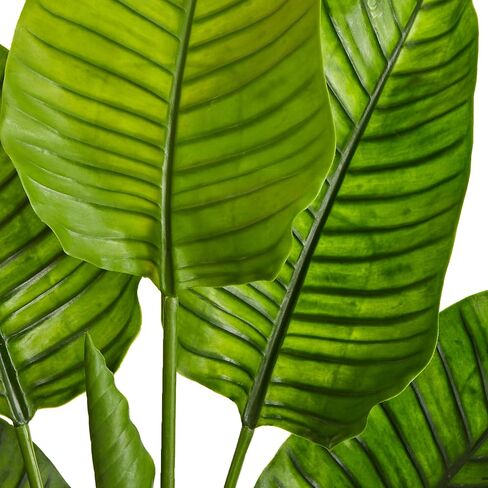 Nearly Natural 60in. Travelers Palm Tree UV Resistant (Indoor/Outdoor) in Saudi Arabia