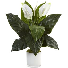 Nearly Natural Spathiphyllum Artificial Flowering Peace Lily in Glossy Glass Planter