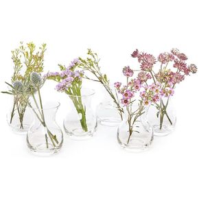 CHIVE ‘George’ Glass Bottle Flower Vases — Set of 6 — Small, Elegant Clear Glass Bud Vases — Bulk Pack for Home Decor & Table Centerpieces — Shape 2 (Oval, 5" Tall, 2.5" Wide)