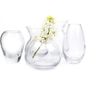 مزهريات زجاجية من CHIVE 'George' - مجموعة من 6 - مزهريات زجاجية شفافة صغيرة وأنيقة - عبوة كبيرة لديكور المنزل والقطع المركزية للطاولة - الشكل 2 (بيضاوي، طول 5 بوصات، عرض 2.5 بوصة) in Kuwait