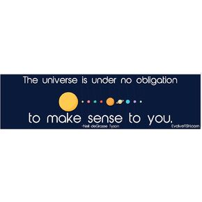 Universe is Under No Obligation to Make Sense Bumper Sticker - [11" x 3"]