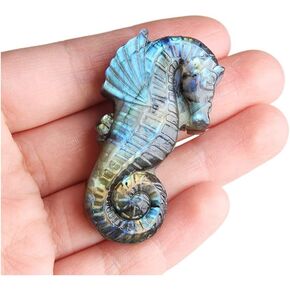 Wixine1Pcs Labradorite Hand Carved The Sea Horse Quartz Crystal Healing