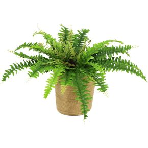 Artificial Ferns for Outdoors with Basket, 18in Diam 21 Leaves Ferns Artificial Potted Plants Large, Faux Ferns Fake Potted Plant in Pot for Indoors Home Garden Farmhouse Decoraction