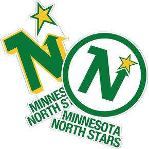Desert Cactus Minnesota North Stars Team NHL National Hockey League Sticker Vinyl Decal Laptop Water Bottle Car Scrapbook (Vintage Sheet)