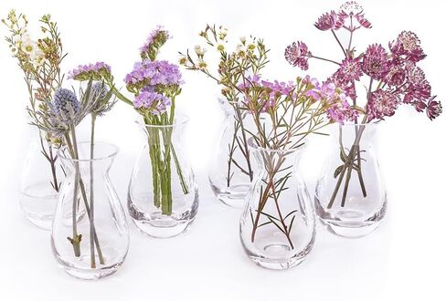CHIVE ‘George’ Glass Bottle Flower Vases — Set of 6 — Small, Elegant Clear Glass Bud Vases — Bulk Pack for Home Decor & Table Centerpieces — Shape 2 (Oval, 5" Tall, 2.5" Wide) in Kuwait