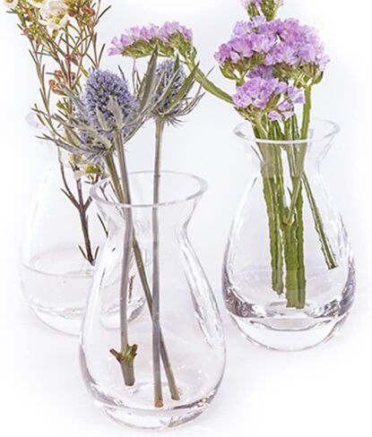 CHIVE ‘George’ Glass Bottle Flower Vases — Set of 6 — Small, Elegant Clear Glass Bud Vases — Bulk Pack for Home Decor & Table Centerpieces — Shape 2 (Oval, 5" Tall, 2.5" Wide) in Kuwait