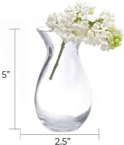 CHIVE ‘George’ Glass Bottle Flower Vases — Set of 6 — Small, Elegant Clear Glass Bud Vases — Bulk Pack for Home Decor & Table Centerpieces — Shape 2 (Oval, 5" Tall, 2.5" Wide) in Kuwait