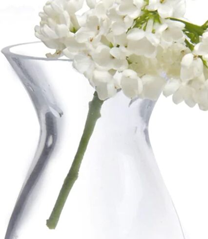 CHIVE ‘George’ Glass Bottle Flower Vases — Set of 6 — Small, Elegant Clear Glass Bud Vases — Bulk Pack for Home Decor & Table Centerpieces — Shape 2 (Oval, 5" Tall, 2.5" Wide) in Kuwait