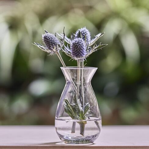 CHIVE ‘George’ Glass Bottle Flower Vases — Set of 6 — Small, Elegant Clear Glass Bud Vases — Bulk Pack for Home Decor & Table Centerpieces — Shape 2 (Oval, 5" Tall, 2.5" Wide) in Kuwait