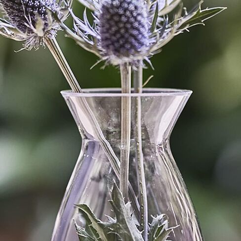 CHIVE ‘George’ Glass Bottle Flower Vases — Set of 6 — Small, Elegant Clear Glass Bud Vases — Bulk Pack for Home Decor & Table Centerpieces — Shape 2 (Oval, 5" Tall, 2.5" Wide) in Kuwait