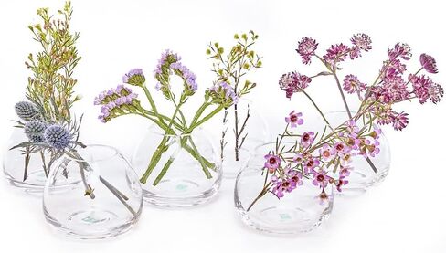 CHIVE ‘George’ Glass Bottle Flower Vases — Set of 6 — Small, Elegant Clear Glass Bud Vases — Bulk Pack for Home Decor & Table Centerpieces — Shape 2 (Oval, 5" Tall, 2.5" Wide) in Kuwait