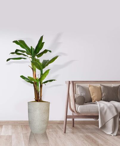 شجرة موز صناعية ذات ملمس حقيقي من Vintage Home بطول 65 بوصة مع زارع من الألياف الحجرية يشبه الخشب البني مقاس 12.8 بوصة (VHX133202) in Saudi Arabia