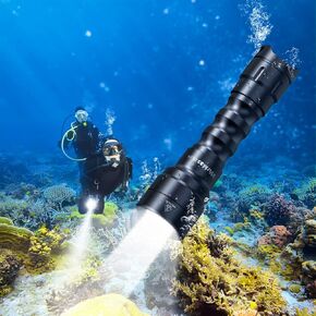 Wurkkos DL16 Scuba Diving Flashlight Dive Torch 2000 Lumen Tail Switch Diving Light Waterproof Scuba Dive Light Submersible Flashlight with Rechargeable Battery,Charger for Under Water