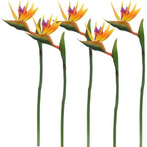 Calcifer 32'' Real Touch Bird of Paradise Artificial Flowers Bouquet for Home Garden Decoration/Wedding Party Decor (Goldenrod,5 Stems) in Kuwait