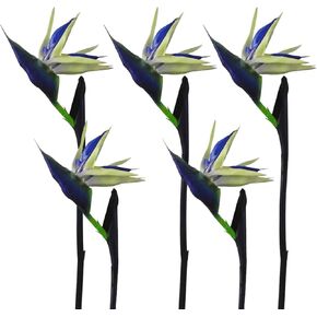 Calcifer 32'' Real Touch Bird of Paradise Artificial Flowers Bouquet for Home Garden Decoration/Wedding Party Decor (Goldenrod,5 Stems)