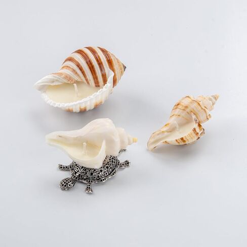 Handmade Natural Scented Candles - Conch Shell Soy Wax Candles Scented with Essential Oils, Home Scented Candles, Birthday, Christmas, Thanksgiving, Mother's Day, Stress Relief Gifts for Women in Saudi Arabia