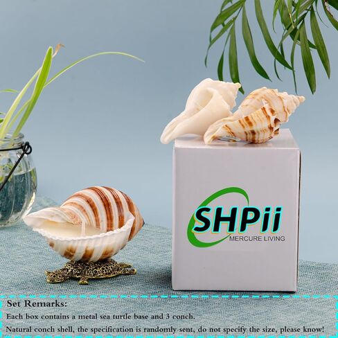 Handmade Natural Scented Candles - Conch Shell Soy Wax Candles Scented with Essential Oils, Home Scented Candles, Birthday, Christmas, Thanksgiving, Mother's Day, Stress Relief Gifts for Women in Saudi Arabia