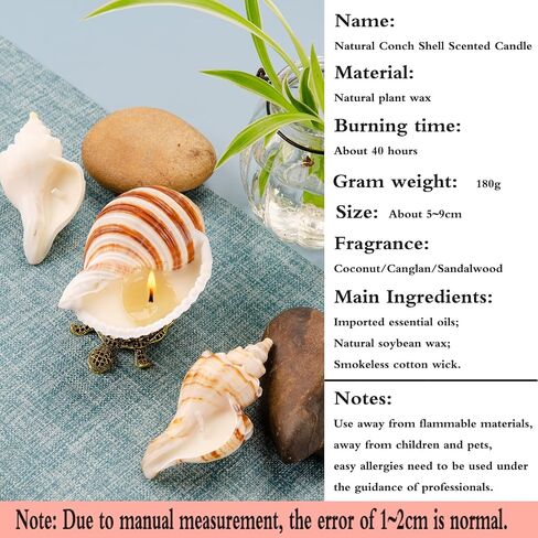 Handmade Natural Scented Candles - Conch Shell Soy Wax Candles Scented with Essential Oils, Home Scented Candles, Birthday, Christmas, Thanksgiving, Mother's Day, Stress Relief Gifts for Women in Saudi Arabia