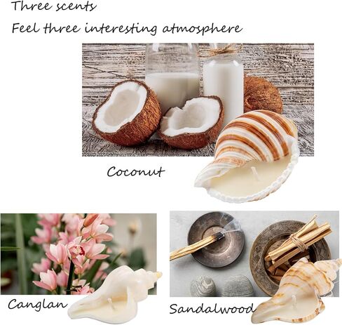 Handmade Natural Scented Candles - Conch Shell Soy Wax Candles Scented with Essential Oils, Home Scented Candles, Birthday, Christmas, Thanksgiving, Mother's Day, Stress Relief Gifts for Women in Saudi Arabia