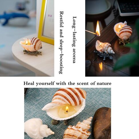 Handmade Natural Scented Candles - Conch Shell Soy Wax Candles Scented with Essential Oils, Home Scented Candles, Birthday, Christmas, Thanksgiving, Mother's Day, Stress Relief Gifts for Women in Saudi Arabia