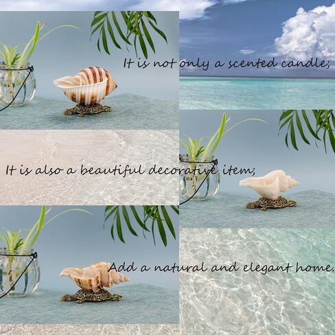 Handmade Natural Scented Candles - Conch Shell Soy Wax Candles Scented with Essential Oils, Home Scented Candles, Birthday, Christmas, Thanksgiving, Mother's Day, Stress Relief Gifts for Women in Saudi Arabia