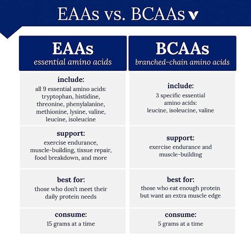 BodyTech BCAA 2:1:1 Ratio (100 Capsules) in Kuwait