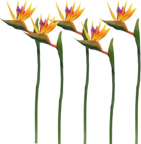 Calcifer 32'' Real Touch Bird of Paradise Artificial Flowers Bouquet for Home Garden Decoration/Wedding Party Decor (Goldenrod,5 Stems) in Kuwait