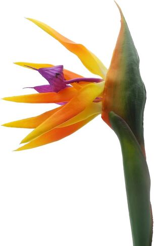 Calcifer 32'' Real Touch Bird of Paradise Artificial Flowers Bouquet for Home Garden Decoration/Wedding Party Decor (Goldenrod,5 Stems) in Kuwait