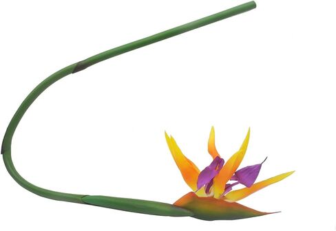 Calcifer 32'' Real Touch Bird of Paradise Artificial Flowers Bouquet for Home Garden Decoration/Wedding Party Decor (Goldenrod,5 Stems) in Kuwait