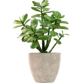 365 Blooming Decor Artificial Potted Jade Plant 12 inch, Luxury Faux Succulent Plant for Home Decor, Office Decor, Money Tree, Faux Plants Indoor Crassula ovata