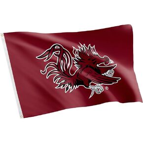 Desert Cactus University of South Carolina Flag Gamecocks USC Cocky Flag Banners 100% Polyester Indoor Outdoor 3x5 feet Flags (Style 3)