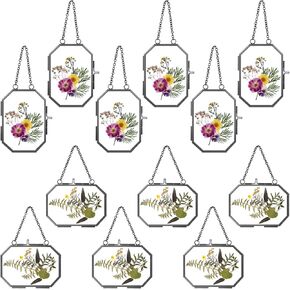 Wenqik 12 Pcs Pressed Flowers Frame Double Glass Frame Plant Specimen Herbarium, 2.5 x 3.5 Inch DIY Gallery Wall Mounted Decor Floating Frame Hanging Octagon Photo Frame(Gold)
