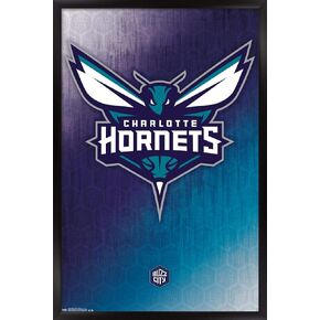 Trends International NBA Charlotte Hornets - Logo 14 Wall Poster, 14.725" x 22.375", Barnwood Framed Version