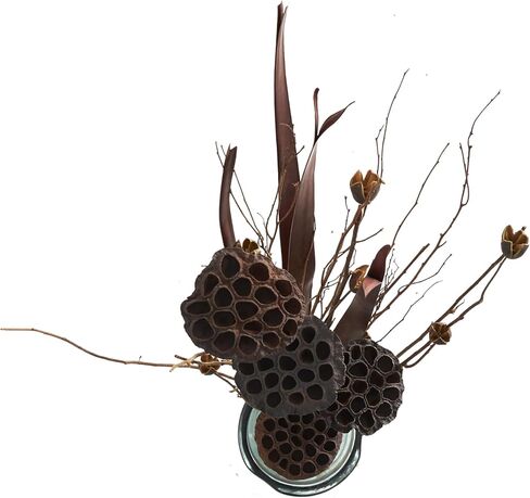 Deco 79 Dried Plant Lotus Flower Handmade Home Decor Natural Foliage Tall Bouquet Natural Dried Foliage with Grass and Branch Accents, Foliage for Decoration 12" x 5" x 40", Brown in Saudi Arabia
