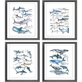 Watercolor Rustic Sharks Whales Blue Sea Ocean Animal Poster Prints for Home Coastal House Bedroom Nursery Room Decor,Educational Shark Themed Decorations Prints Wall Art Unframed 4pcs 8x10inches